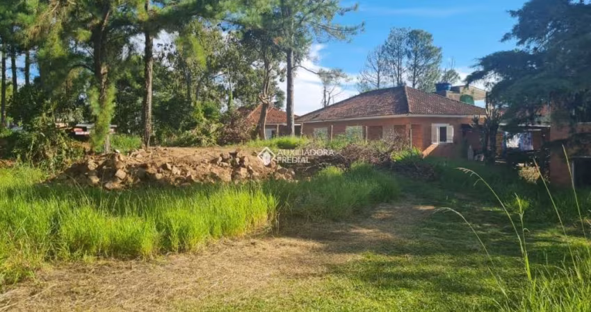 Terreno à venda na Rua Amapá, 1262, Vila Nova, Porto Alegre