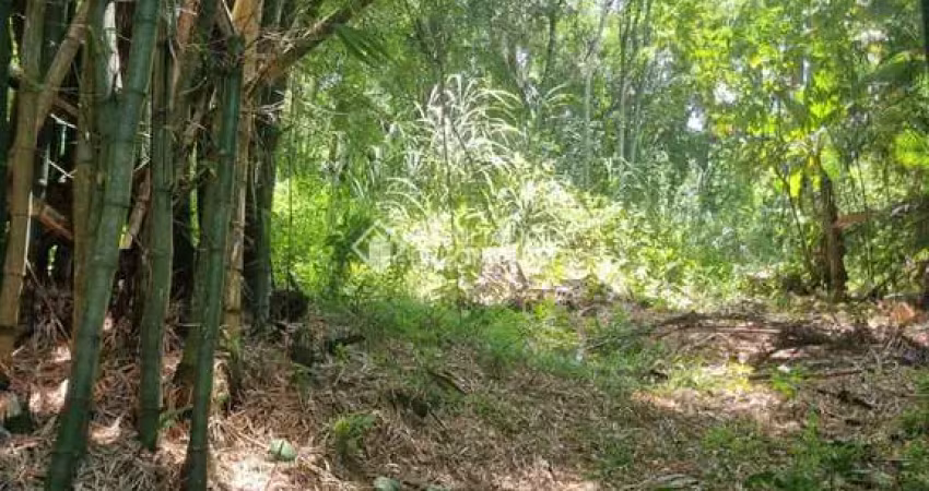 Terreno à venda na Rua Intendente Antônio Damasco, 448, Ratones, Florianópolis