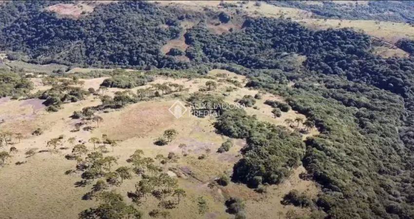 Fazenda à venda na Adolfo Konder, 100, Centro, Urubici