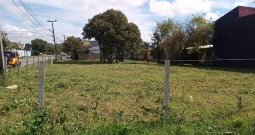 TERRENO - PINHAIS