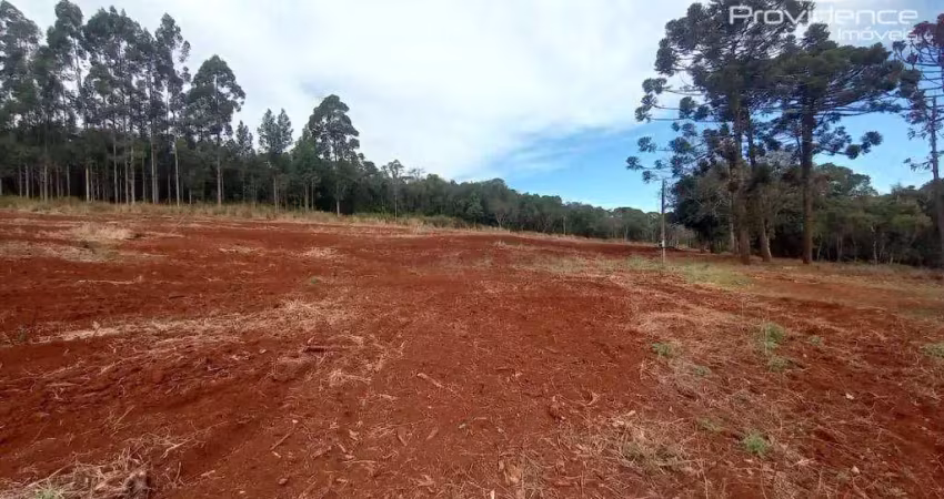 Chácara à venda, 937 m² por r$ 374.000,00 - zona industrial - cascavel/pr