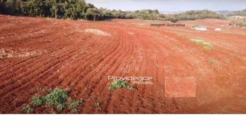 Sítio à venda, 726000 m² por r$ 0,01 - zona rural - cascavel/pr