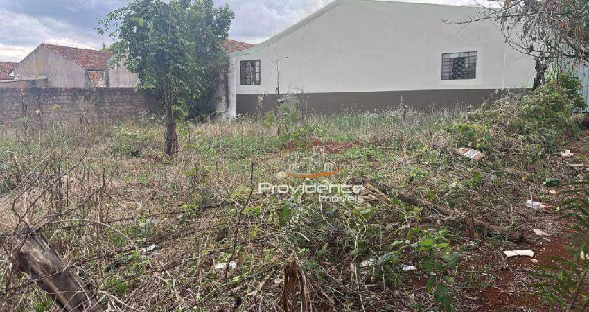 Terreno à venda, 490 m² por R$ 249.000 - Universitário - Cascavel/PR