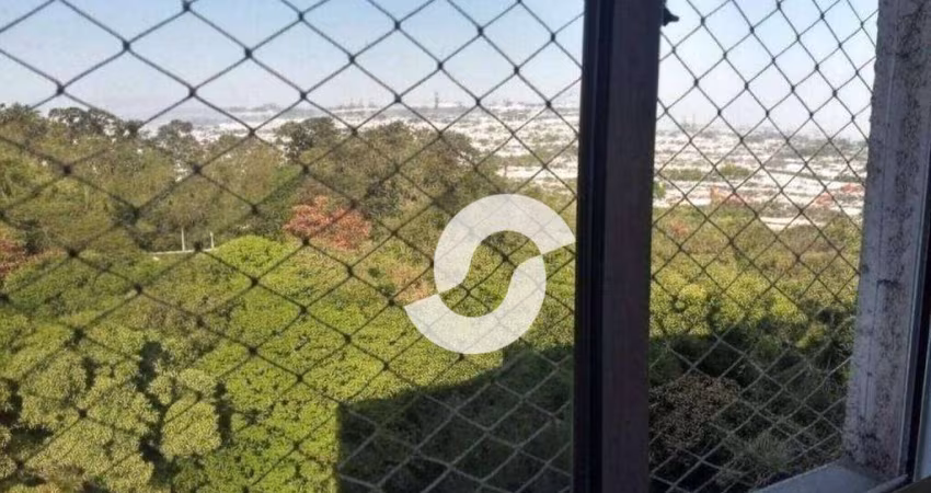 Vista Espetacular para o Horto do Barreto