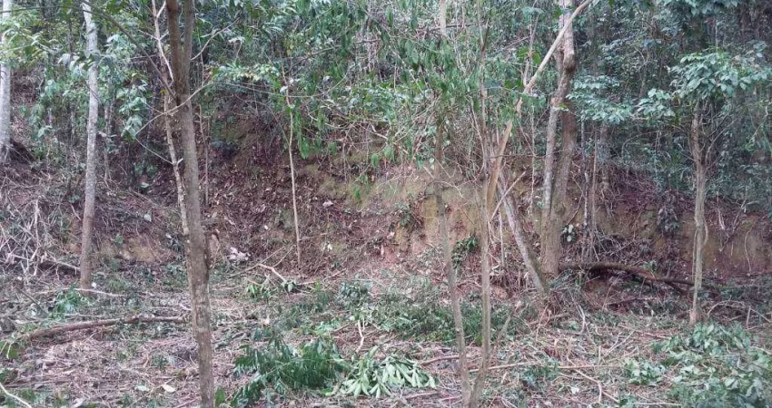 Terreno à venda, 750 m² por R$ 207.000,00 - Serra Grande - Niterói/RJ