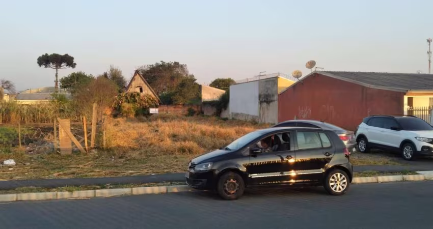 Terreno para Venda em São José dos Pinhais, Guatupê
