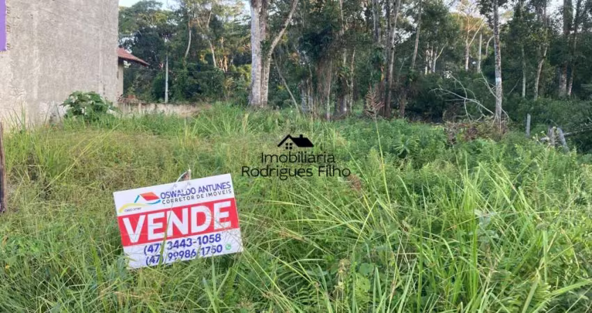 Terreno à venda na Rua Ymyra, 1337, Brandalize, Itapoá
