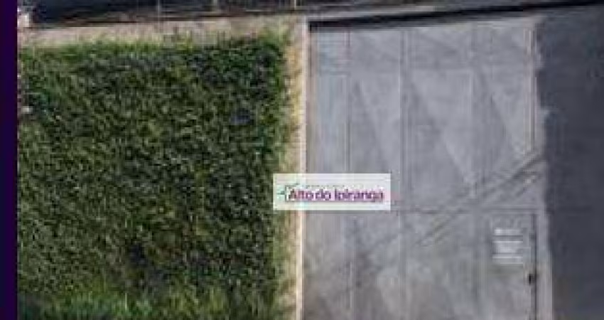 Galpão à venda, 500 m² por R$ 3.700.000,00 - Cambuci - São Paulo/SP