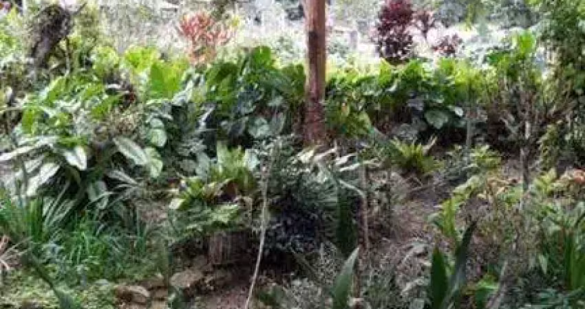 Terreno à venda no Centro, São João do Itaperiú 