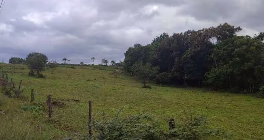Terreno à venda no Porto Grande, Araquari 