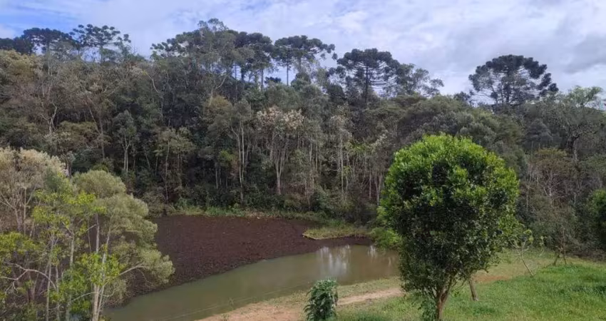 Chácara / sítio à venda no Centro, Campo Alegre 