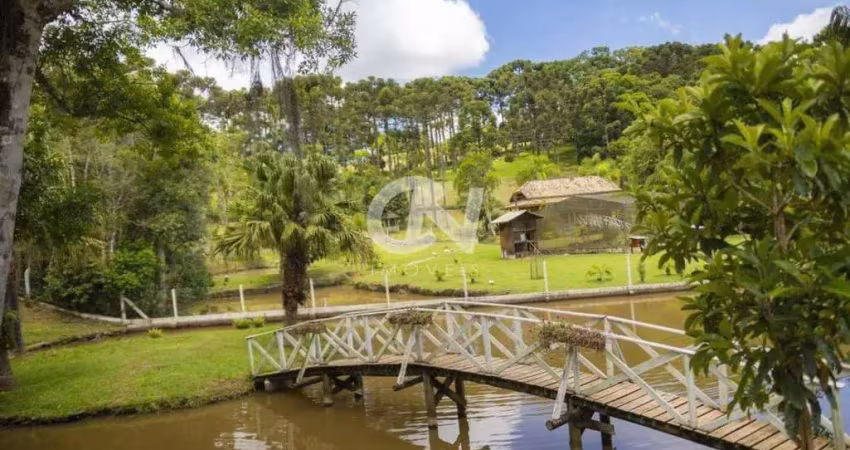 Chácara / sítio à venda no Centro, Campo Alegre 