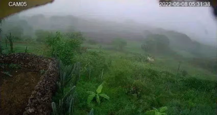 Área à venda, 480000 m² por r$ 3.000.000 - barra de santana - barra de santana/paraíba