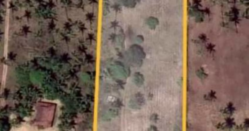 Terreno à venda, 12.000 m² por R$ 210.000 - Jardim Primavera - Conde/PB