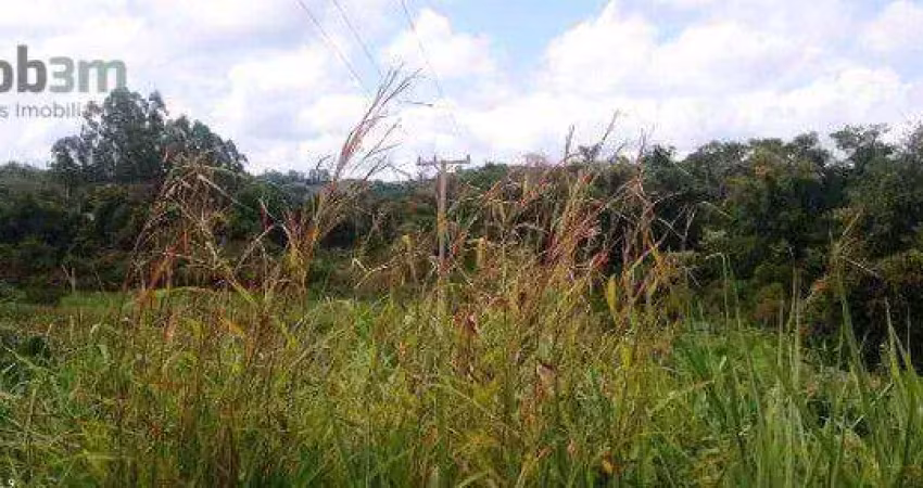 Terreno à venda, 2948 m² por r$ 350.000,00 - pat regina - londrina/pr