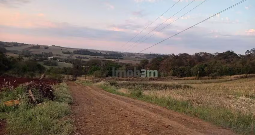 Terreno à venda, 4000 m² por r$ 310.000,00 - patrimônio regina - londrina/pr