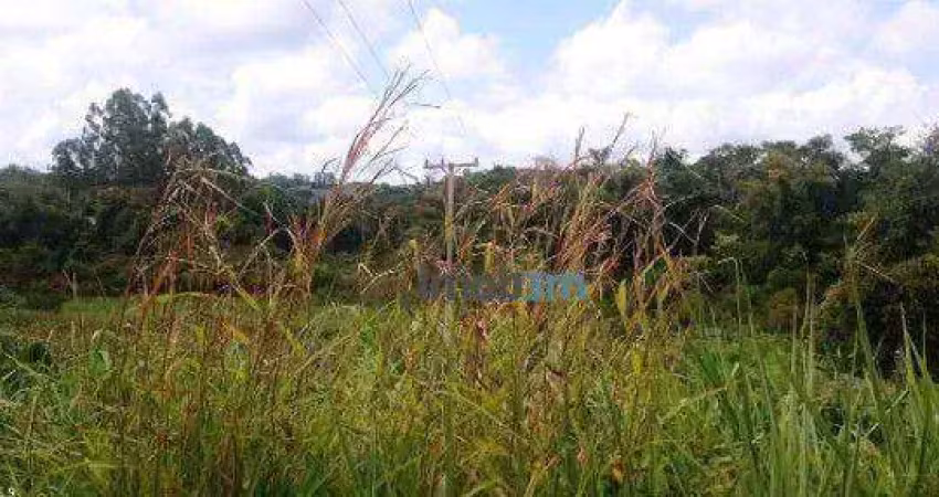 Terreno à venda, 3370 m² por r$ 260.000 - património regina - londrina/pr