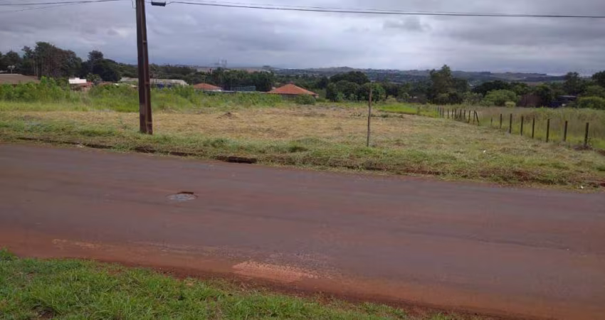 Terreno, 5205 m² - venda por R$ 3.500.000,00 ou aluguel por R$ 5.000,00/mês - Conjunto Vivi Xavier - Londrina/PR