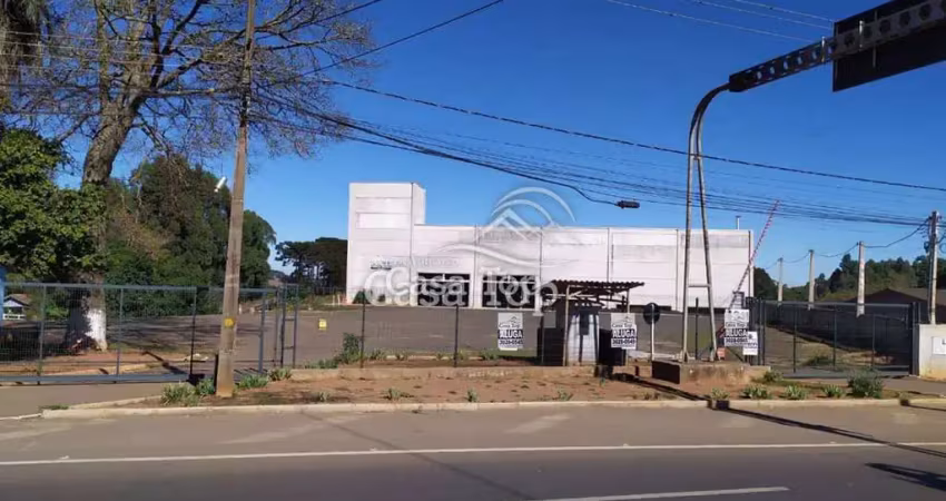 Barracão para alugar Chapada