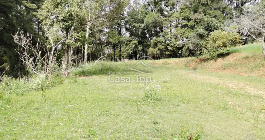 Terreno à venda no Cará-cará, Ponta Grossa 