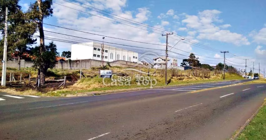 Terreno para alugar Jardim Carvalho