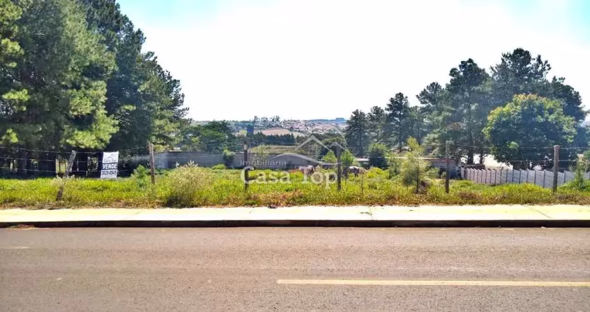 Terreno à venda no Colônia Dona LuÍza, Ponta Grossa 