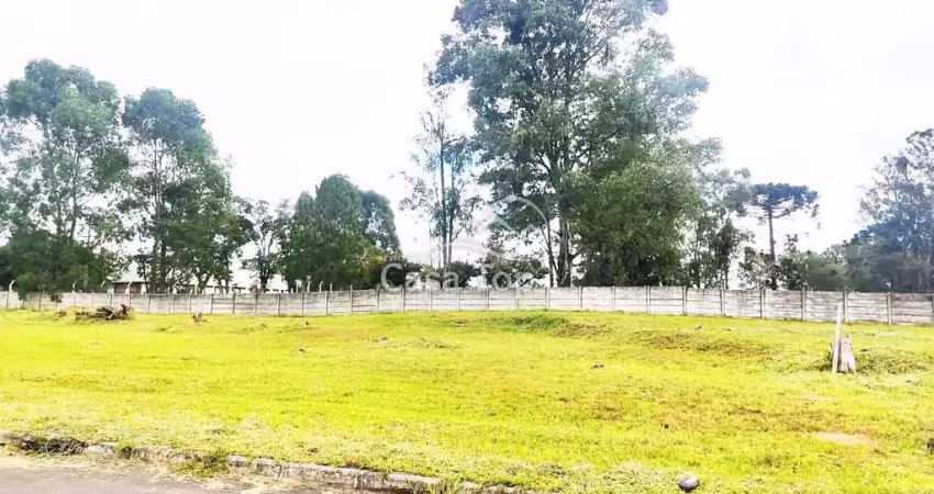 Terreno à venda no Jardim Carvalho, Ponta Grossa 