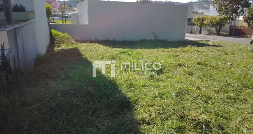 Excelente lote de esquina à venda - rua curitiba - francisco beltrão - pr