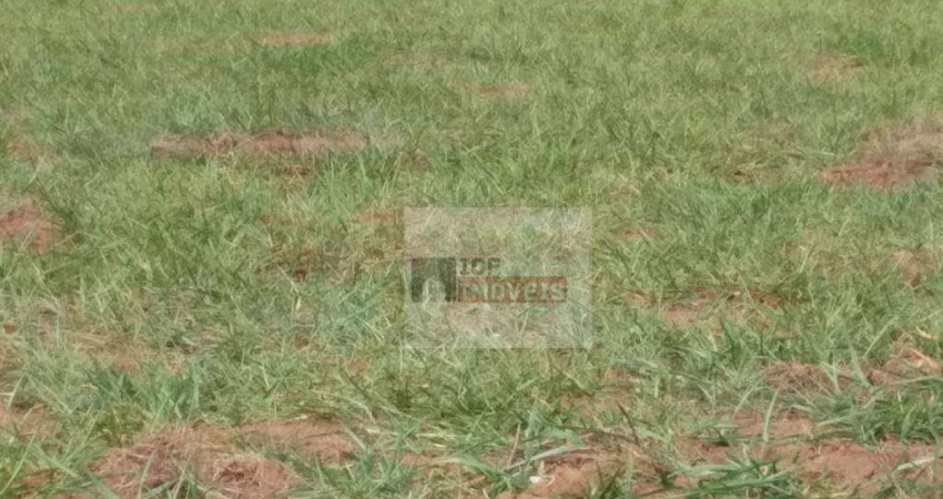Terreno residencial à venda, Pacaembu, Americana.