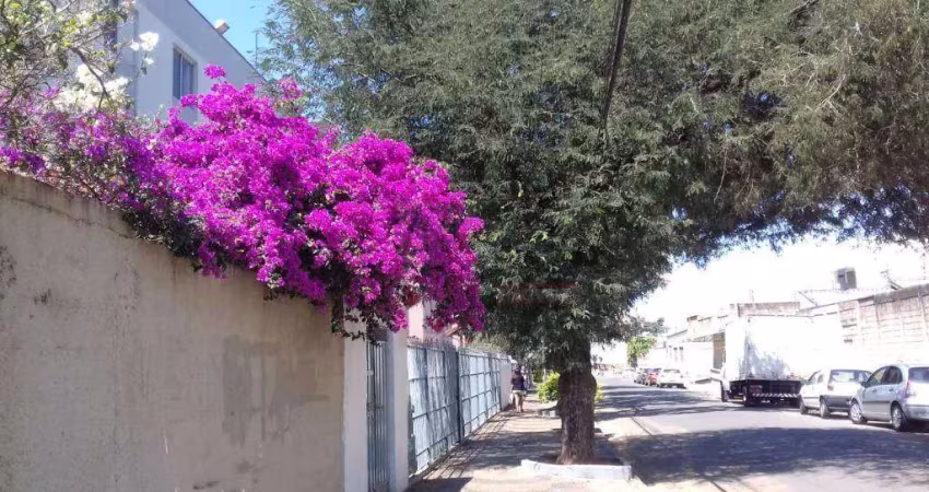 lindp ap em campinas bairro jd ipiranga