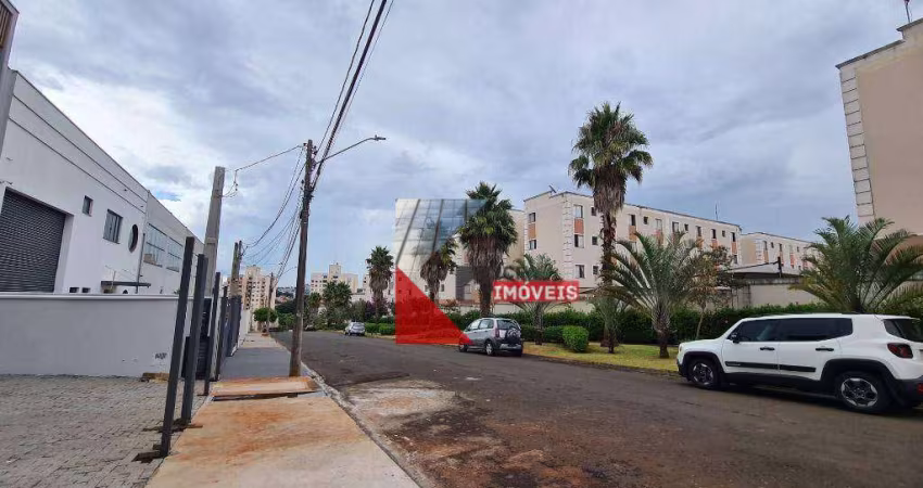 Galpão para alugar, 343 m² por R$ 8.502,85/mês - Loteamento Industrial Machadinho - Americana/SP