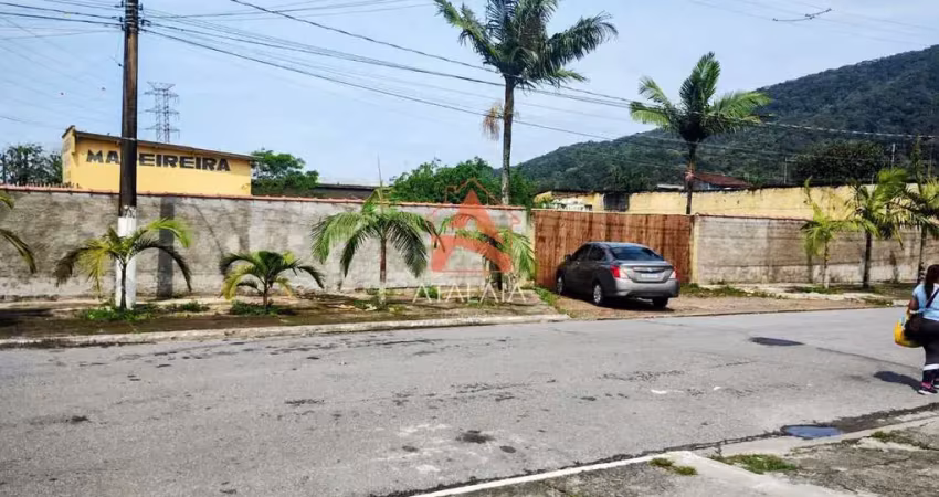 Terreno comercial para alugar na Avenida Presidente Castelo Branco, 15216, Cidade da Criança, Praia Grande