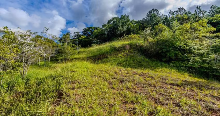 Terreno em condomínio fechado à venda na Avenida Marcio Ferreira de Mello e Silva, 55, Praia Brava, Itajaí