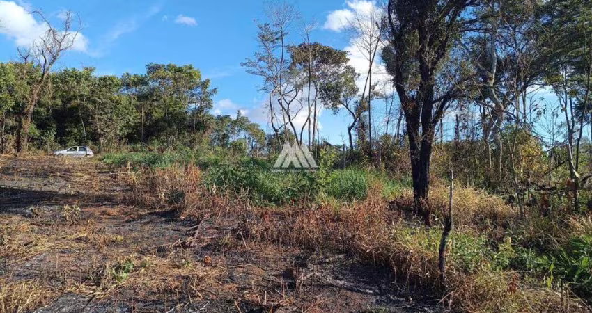 Vendo Lote em Itatiaiuçu de 385m² com excelente localização!
