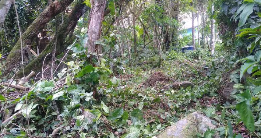 Terreno - Praia da Solidão - Florianópolis - SC