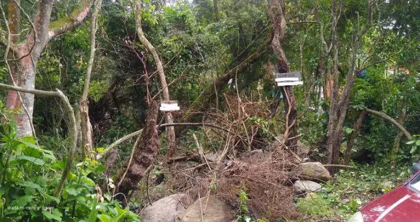 Terreno à venda na Servidão Niberto Borges, Pântano do Sul, Florianópolis
