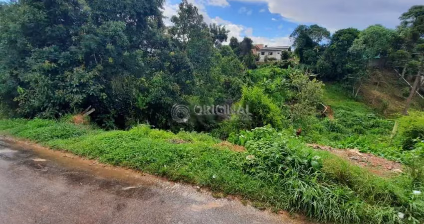 Terreno à venda na Rua Calondela, 813, Vila Santa Maria, Piraquara
