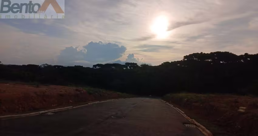 Terreno em Loteamento em Jardim das Palmeiras, Campo Largo/PR