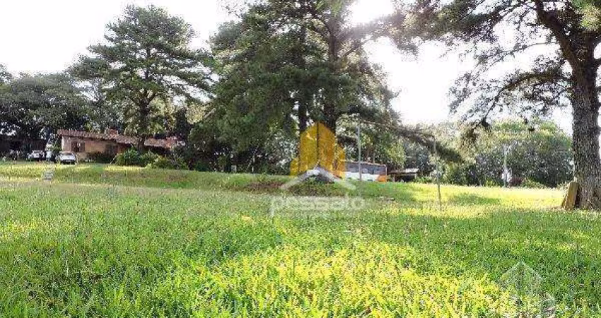 Sítio à Venda por R$638.300,00 - Cadiz - Gravataí, RS