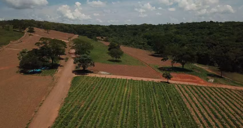 Chácara / sítio à venda na BR 060, Centro, Santo Antônio do Descoberto