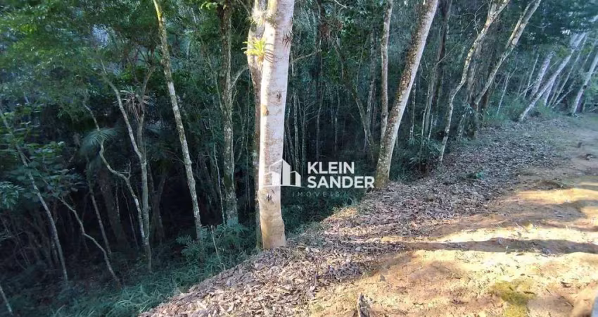 Terreno à venda, 658 m² por r$ 150.000,00 - cônego - nova friburgo/rj