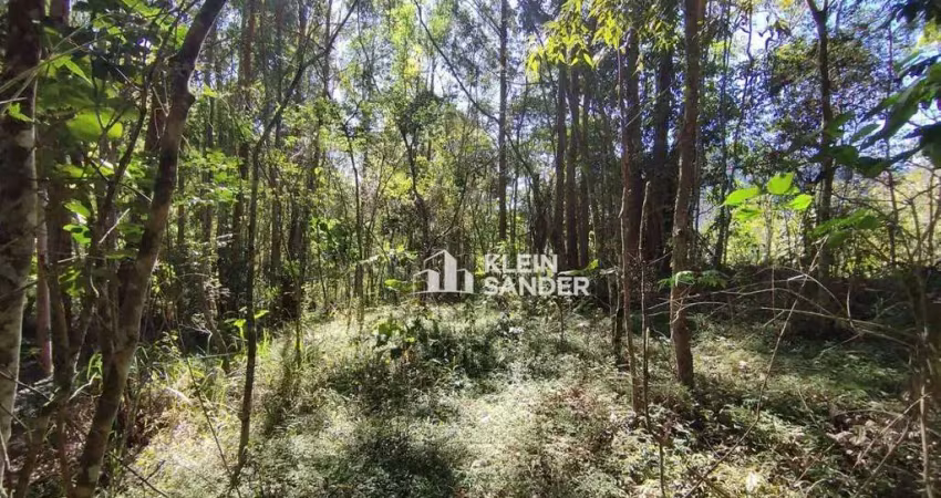 Terreno à venda, 3217 m² por R$ 415.000,00 - Cascatinha - Nova Friburgo/RJ