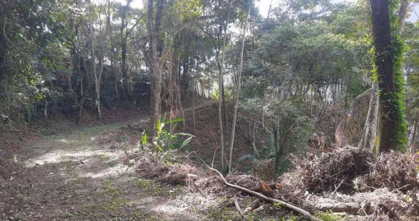 Terreno à venda, 7400 m² por r$ 1.500.000,00 - cônego - nova friburgo/rj