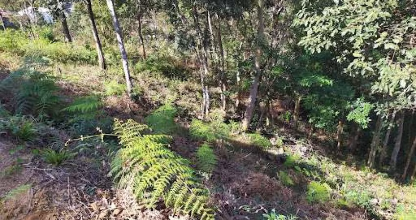 Terreno à venda, 549 m² por R$ 243.000,00 - Cônego - Nova Friburgo/RJ