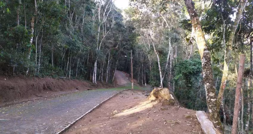 Terreno à venda, 404 m² por r$ 250.000,00 - cônego - nova friburgo/rj
