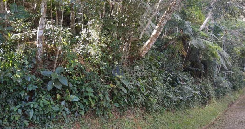 Terreno à venda, 2345 m² por R$ 320.000,00 - Mury - Nova Friburgo/RJ
