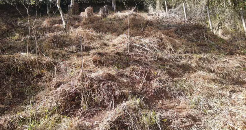Terreno à venda, 495 m² por r$ 270.000,00 - cônego - nova friburgo/rj