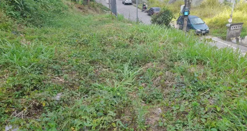 Terreno à venda, 400 m² por R$ 250.000,00 - Cônego - Nova Friburgo/RJ