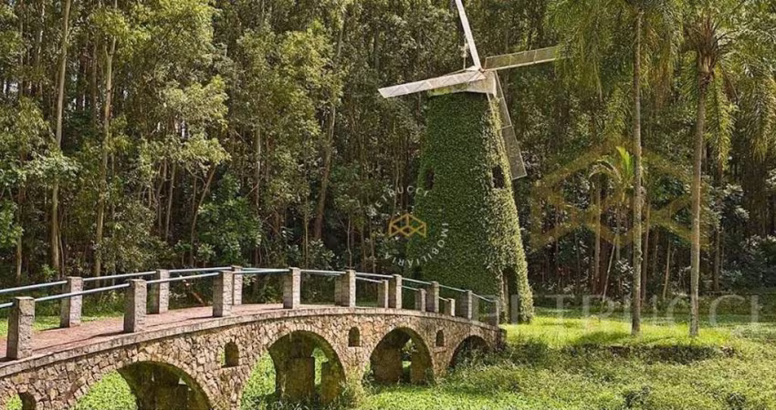 Terreno à venda, 391 m² por R$ 1.955.500,00 - Swiss Park - Campinas/SP