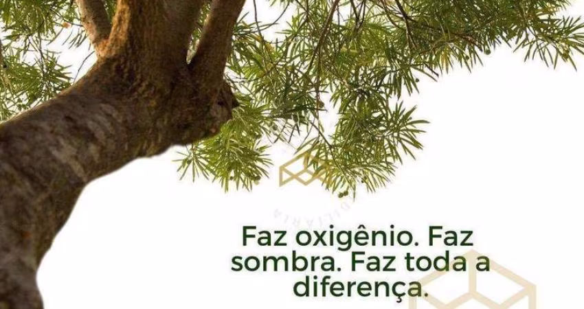 Terreno Residencial à venda, Tanquinho Velho, Jaguariúna - TE2033.